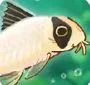 池趣